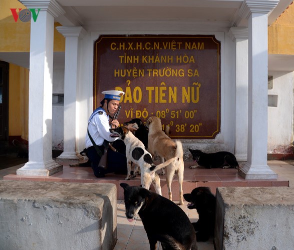 Les instants poétiques à Truong Sa  - ảnh 10